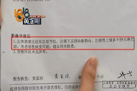 赵县融资清欠服务